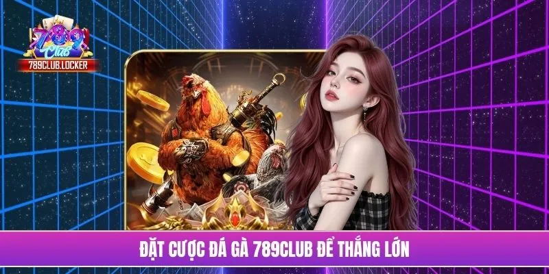 Đặt cược đá gà 789Club để thắng lớn