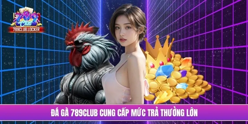 Đá gà 789Club cung cấp mức trả thưởng lớn
