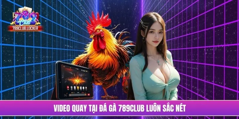 Video quay tại đá gà 789Club luôn sắc nét