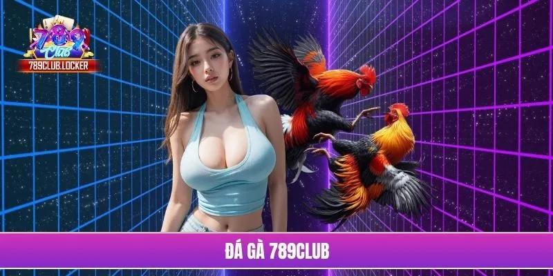 Đá gà 789Club