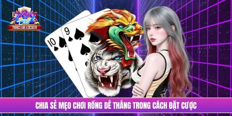Chia sẻ mẹo chơi rồng dễ thắng trong cách đặt cược