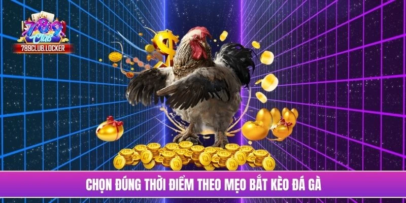 Chọn đúng thời điểm theo mẹo bắt kèo đá gà